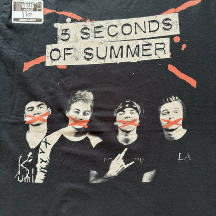 2015 5 Seconds of Summer rock out with your socks out tee
