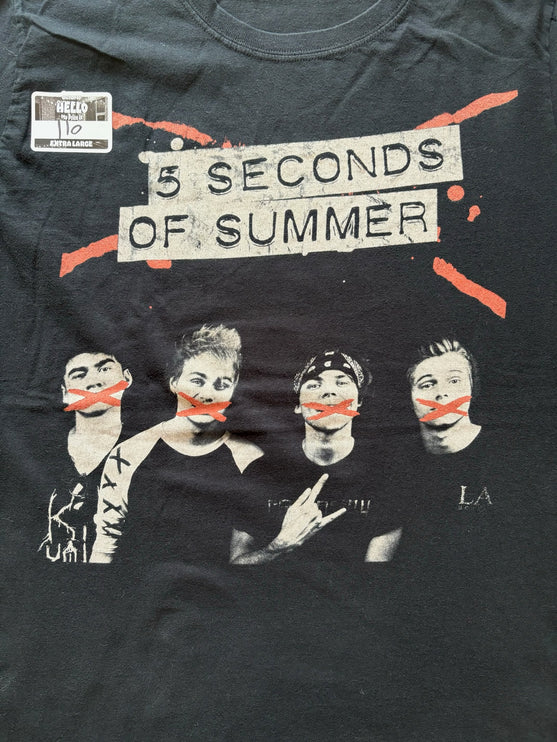 2015 5 Seconds of Summer rock out with your socks out tee