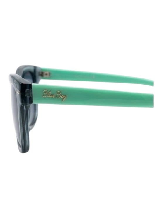 Ray-Ban Full BlueBAY Sunglasses