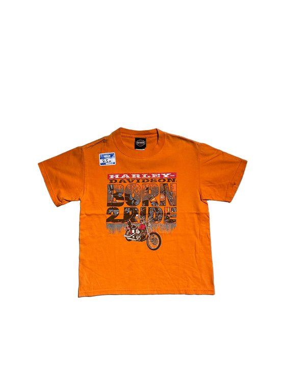 Harley-Davidson born 2 ride tee