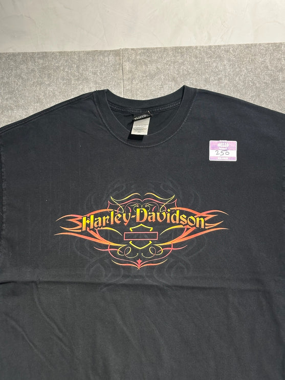 2004 harley-davidson chilkoot pass skagway, alaska. Tee