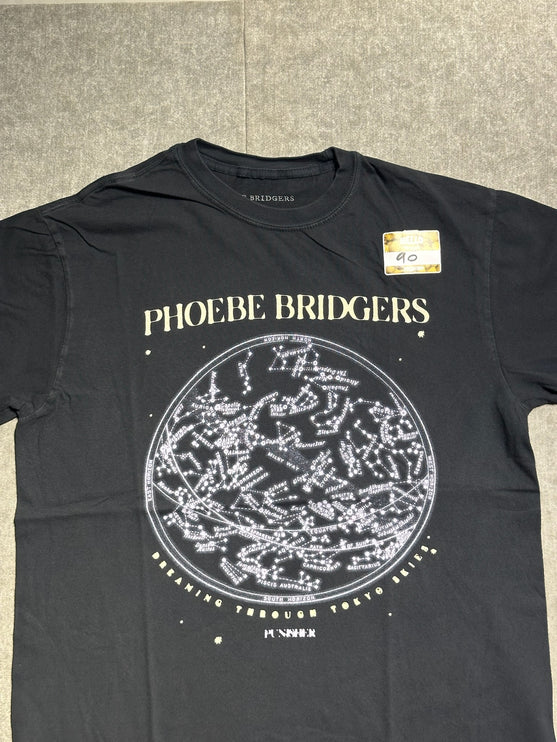 Phoebe bridgers punisher tee