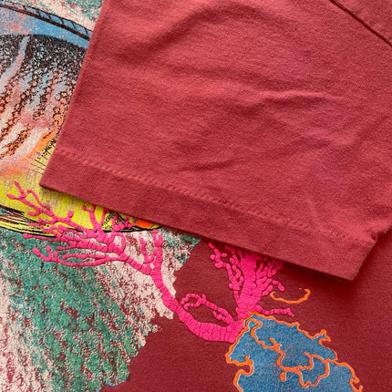 Single-stitched Destin Florida Reef Tropical Fish tee