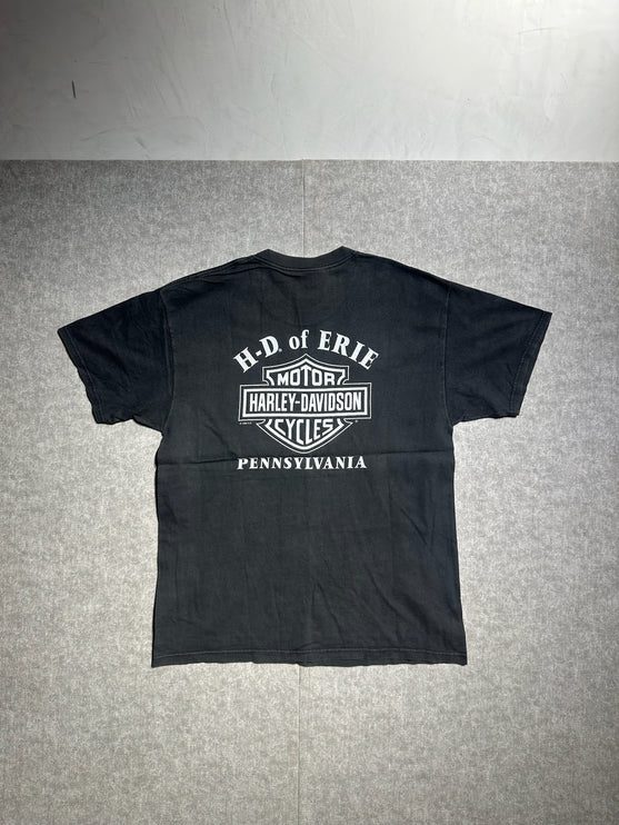 1998 Harley-davidson chrome fever Pennsylvania tee