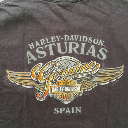 Harley-davidson asturias spain tee