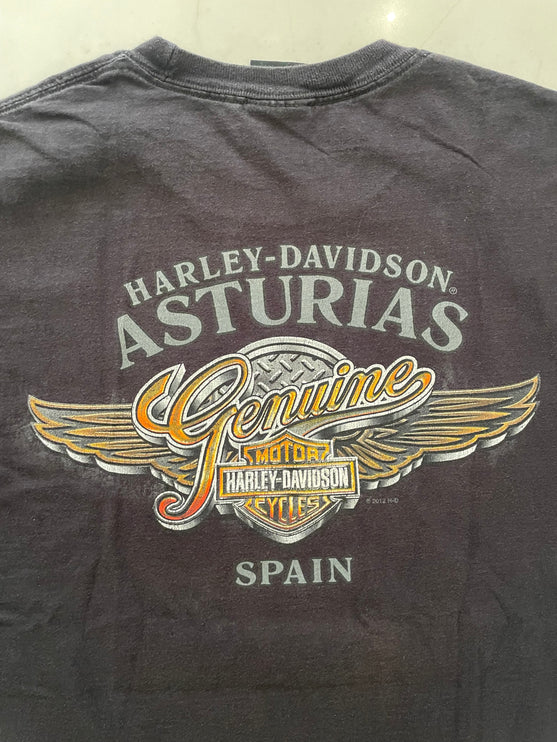 Harley-davidson asturias spain tee