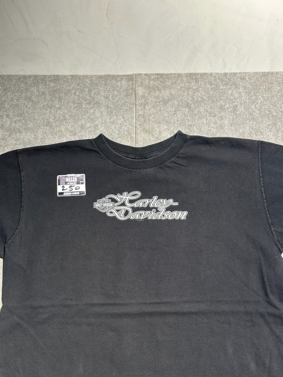 2002 harley-davidson raleigh, NC. Tee