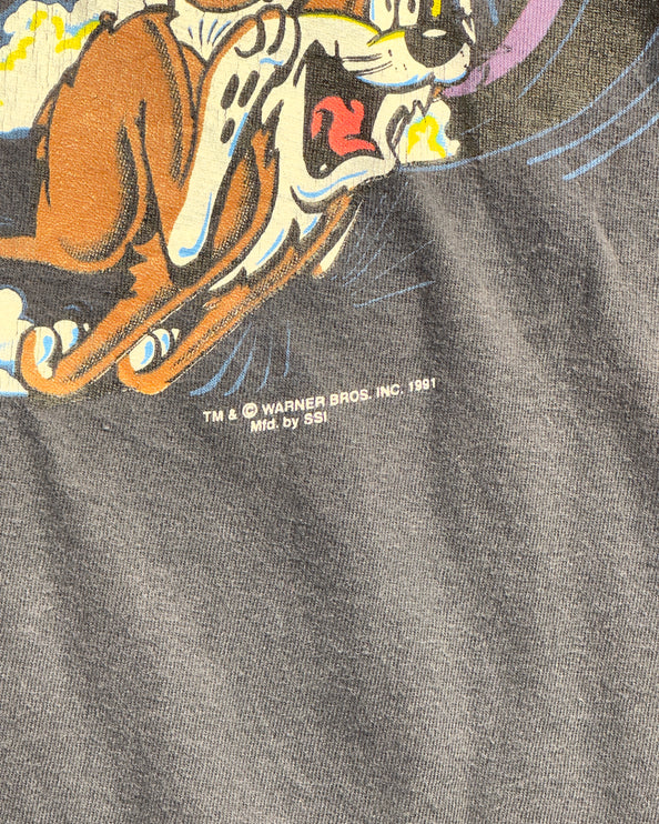 The Wild Taz Vintage 1991 single stitch Tee