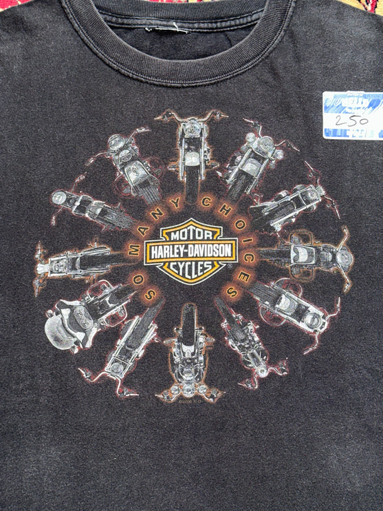 2005 HARLEY-DAVIDSON SO MANY CHOICES ROCKLAND COUNTY TEE