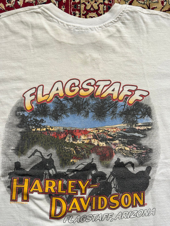 1991 RARE AOP HARLEY-DAVIDSON FLAGSTAFF TEE