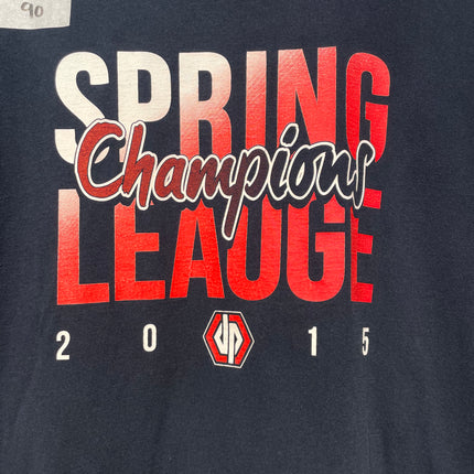 2015 spring league champions tee