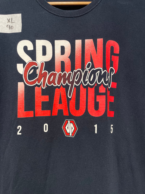 2015 spring league champions tee