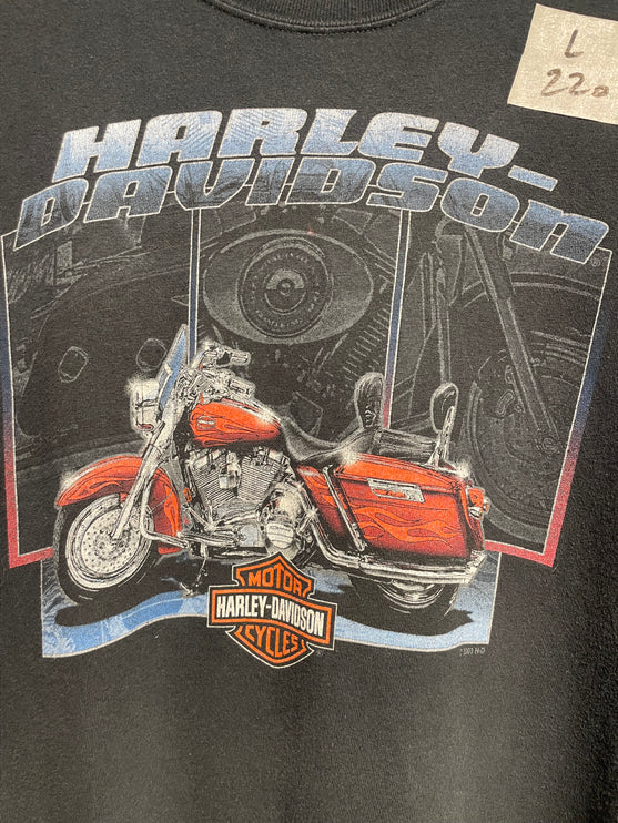 2003 HARLEY-DAVIDSON NEW CASTLE,DE TEE