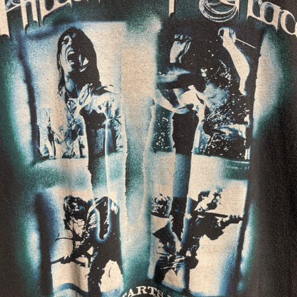 2010 THREE DAYS GRACE TEE